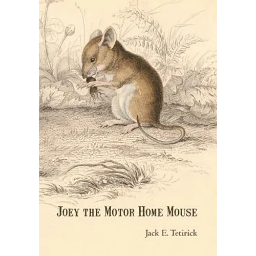 Joey the Motor Home Mouse - Hardcover