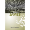 Studies in James - Paperback