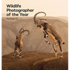 Wildlife Photographer of the Year: Portfolio 33: Volume 33 - Hardcover
