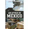 An Affair in Mexico - Hardcover