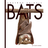 Bats - Paperback