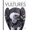 Vultures - Paperback