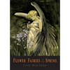 Flower Fairies of the Spring: 24 Full Color Illustrations - Paperback