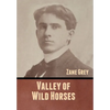 Valley of Wild Horses - Hardcover