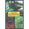 Growing Marijuana Hydroponically - Paperback