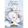 Here Come the Bears - Paperback