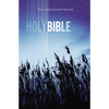 Value Outreach Bible-NIV - Paperback