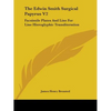 The Edwin Smith Surgical Papyrus V2: Facsimile Plates And Line For Line Hieroglyphic Transliteration - Paperback