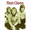 Bee Gees: The Day-By-Day Story, 1945-1972 - Paperback