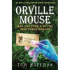 Orville Mouse and the Puzzle of the Shattered Abacus - Paperback