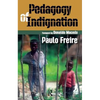 Pedagogy of Indignation - Paperback