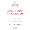 Luminous Awareness: A Guidebook to Natural Awakening in Life and in Death - Paperback