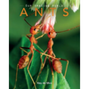 Ants: Amazing Pictures & Fun Facts on Animals in Nature - Paperback
