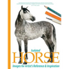 Isolated Horse Images for Artist's Reference and Inspiration - Paperback