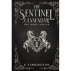 The Sentinel of Cassendar: The High Captain - Paperback