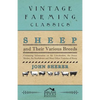 Sheep and Their Various Breeds - Containing Information on the Lincolnshire, the Saxon Merino, the Southdown and Many Other Varieties of Sheep - Paperback