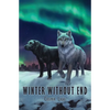 Winter Without End - Paperback
