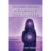 Star-Seeded Ascensions: Activating the Starseed - Paperback