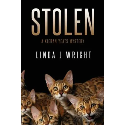 Stolen: A Kieran Yeats Mystery - Paperback