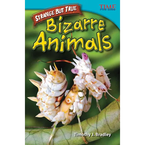Strange But True: Bizarre Animals: Bizarre Animals - Paperback
