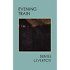 Evening Train: Poetry - Paperback