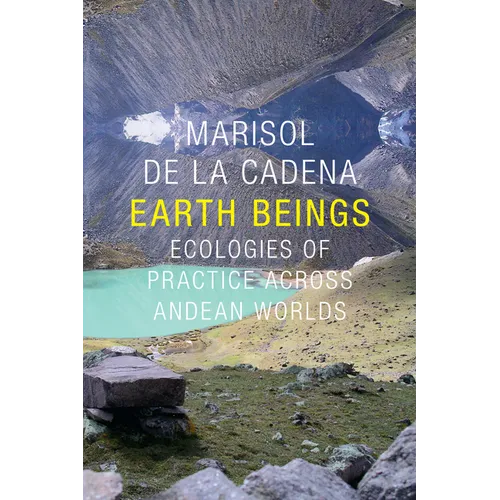 Earth Beings: Ecologies of Practice Across Andean Worlds - Paperback