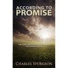 According to Promise - Paperback