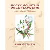 Rocky Mountain Wildflowers An Artist's Collection - Paperback