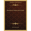 Barnacles in Nature and in Myth - Paperback