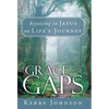 Grace for the Gaps: Rejoicing in Jesus on Life's Journey - Hardcover