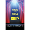 Where in the World is God? Humanity as Mirror - Hardcover