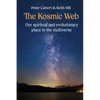 The Kosmic Web: Our spiritual and evolutionary place in the multiverse - Paperback