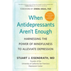 When Antidepressants Aren't Enough: Harnessing the Power of Mindfulness to Alleviate Depression - Paperback