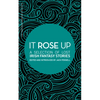 It Rose Up: A Selection of Lost Irish Fantasy Stories - Paperback