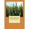 Biofuels Manufacture from Renewables other than Corn Starch - Paperback