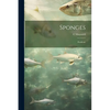 Sponges; Poriferae - Paperback