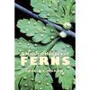 A Natural History of Ferns: A Natural History of Ferns - Paperback