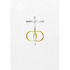 The Order of Celebrating Matrimony/Ritual del Matrimonio: Bilingual Edition/ Edición Bilingüe - Hardcover
