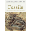 Fossils: A Fully Illustrated, Authoritative and Easy-To-Use Guide - Paperback