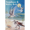 Seashore and Wading Birds of Florida - Paperback