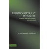 Dynamic Assessment in Practice - Hardcover
