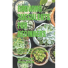 Growing Succulents for Beginners: A Beginners Step by Step Guide on Growing Succulents - Paperback