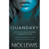 Quandary: A Detective Series - Paperback