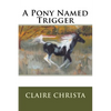 A Pony Named Trigger - Paperback