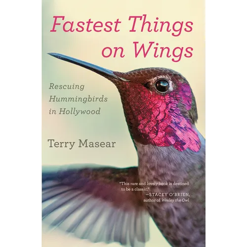 Fastest Things on Wings: Rescuing Hummingbirds in Hollywood - Paperback