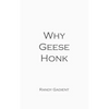 Why Geese Honk: The Power of Encouragement - Paperback