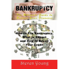 Bankruptcy: The Ultimate Guide to Recover Your Finances (Large Print): How to File Bankruptcy, What to Expect and How to Repair Yo - Paperback