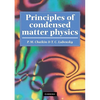Principles of Condensed Matter Physics - Paperback