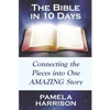 The Bible in 10 Days: Connecting the Pieces Into One Amazing Story - Paperback