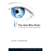 The God Who Risks: A Theology of Divine Providence - Paperback